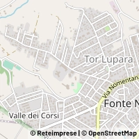 Kart Fonte Nuova