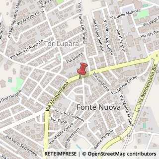 Mappa Via Nomentana, 473, 00013 Fonte Nuova, Roma (Lazio)