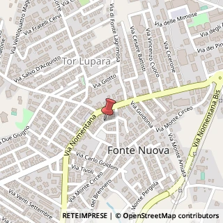 Mappa Via Ugo Foscolo,  11, 00185 Fonte Nuova, Roma (Lazio)