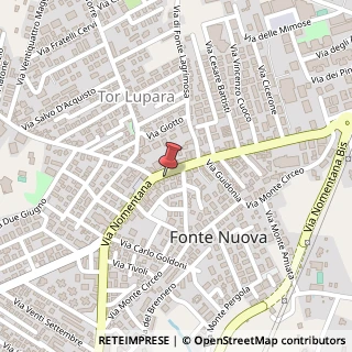 Mappa Via Nomentana, 491, 00013 Fonte Nuova, Roma (Lazio)