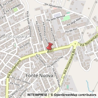 Mappa Via Nomentana, 401, 00013 Fonte Nuova, Roma (Lazio)