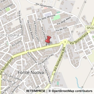 Mappa Via Nomentana, 436, 00013 Fonte Nuova, Roma (Lazio)