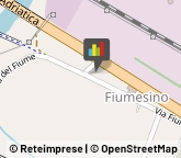 Autotrasporti,60015Ancona