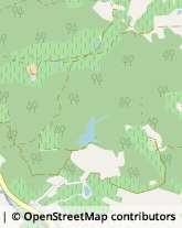 Via IV Novembre, 84,50026San Casciano in Val di Pesa