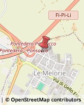 Via Giovanni da Verrazzano, 15,56038Ponsacco