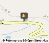 Autofficine e Centri Assistenza,60013Ancona