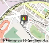 Autotrasporti,60015Ancona