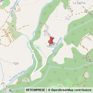 Mappa Via della Lama, 26, 52026 Reggello, Firenze (Toscana)