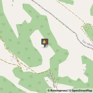 Agriturismi Palaia,56036Pisa