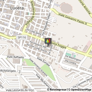 Palestre e Centri Fitness,71036Foggia