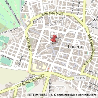 Mappa Piazza del Duomo, 18, 71036 Lucera, Foggia (Puglia)