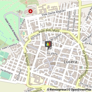 Maglieria - Produzione Lucera,71036Foggia