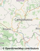 Aziende Agricole Campobasso,86100Campobasso