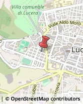 Via Firenze, 13,71036Lucera