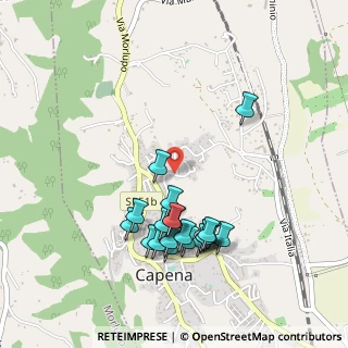 Mappa Via Martolana, 00060 Capena RM, Italia (0.5005)