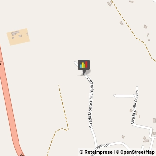 Animali Domestici - Centri Allevamento e Addestramento,00063Roma