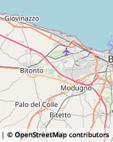 Rosticcerie e Salumerie Palo del Colle,70027Bari