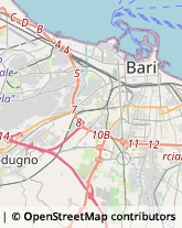 Frutta Secca Bari,70124Bari