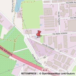Mappa Via dei Gladioli, 39, 70026 Modugno, Bari (Puglia)
