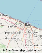 Trasporti Refrigerati Bari,70123Bari