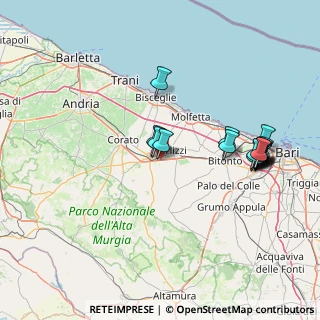 Mappa Complanare Est, 70037 Ruvo di Puglia BA, Italia (16.77313)
