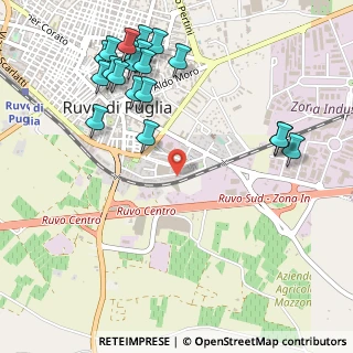 Mappa Via Giuseppe di Vittorio, 70037 Ruvo di Puglia BA, Italia (0.678)