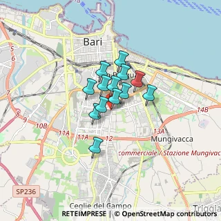 Mappa Via Lonigro, 70125 Bari BA, Italia (1.01692)