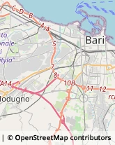 Trasporto Disabili Bari,70124Bari