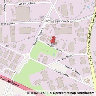 Mappa Via delle Petunie, 9, 70026 Modugno, Bari (Puglia)