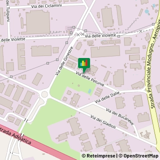 Via delle Petunie, 5-7,70026Modugno