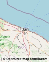 Cornici ed Aste - Dettaglio Mola di Bari,70042Bari