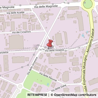 Mappa Via delle Violette, 12, 70026 Modugno, Bari (Puglia)
