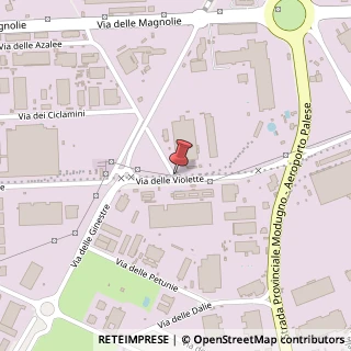 Mappa Via delle Violette, 12, 70026 Modugno, Bari (Puglia)