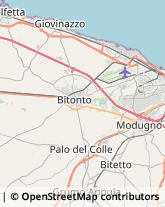 Aziende Agricole Giovinazzo,70054Bari