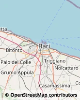 Agenzie di Animazione e Spettacolo Bari,70124Bari