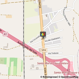 Palestre e Centri Fitness Capua,81043Caserta