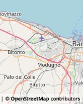 Legname da Costruzione Sannicandro di Bari,70026Bari