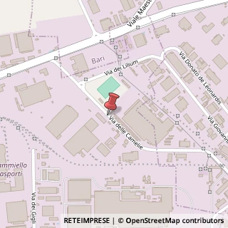 Mappa Via delle Camelie, 5, 70026 Modugno, Bari (Puglia)