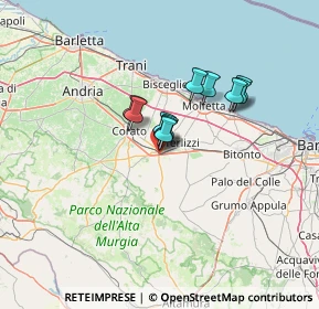 Mappa S.P. 231 Km. 25, 70037 Ruvo di Puglia BA, Italia (8.95455)