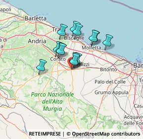 Mappa S.P. 231 Km. 25, 70037 Ruvo di Puglia BA, Italia (10.24538)