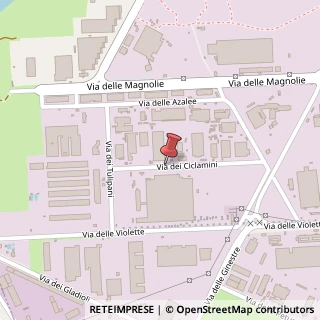 Mappa Via dei Ciclamini, 25, 70026 Modugno, Bari (Puglia)