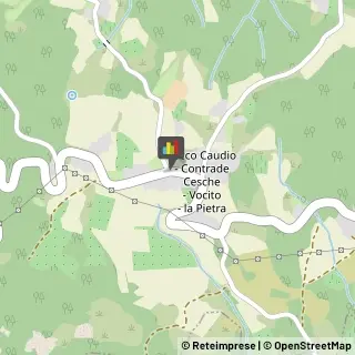 Tartufi e Funghi Tocco Caudio,82030Benevento