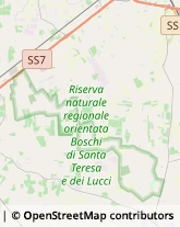 Componenti e Ricambi Auto Brindisi,72100Brindisi