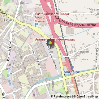 Piante e Fiori - Ingrosso,80045Napoli