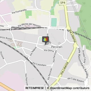 Palestre e Centri Fitness,84015Salerno