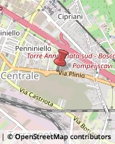 Via plinio, 95,80058Torre Annunziata