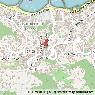 Mappa Via Iasolino, 20, 80074 Casamicciola Terme, Napoli (Campania)