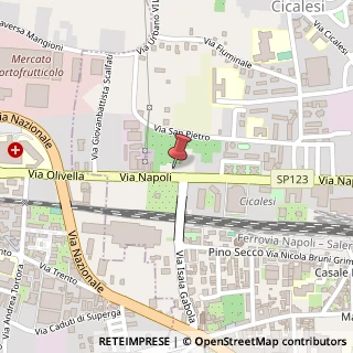 Mappa Via Napoli, 172, 84014 Nocera Inferiore, Salerno (Campania)