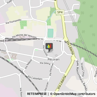 Palestre e Centri Fitness,84015Salerno