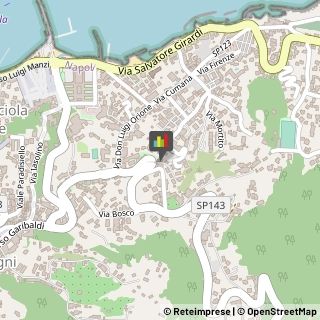 Giardinaggio - Servizio Ischia,80072Napoli